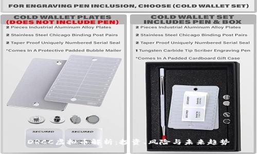 DRCC虚拟币解析：投资、风险与未来趋势