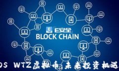 深入了解EOS WTZ虚拟币：未