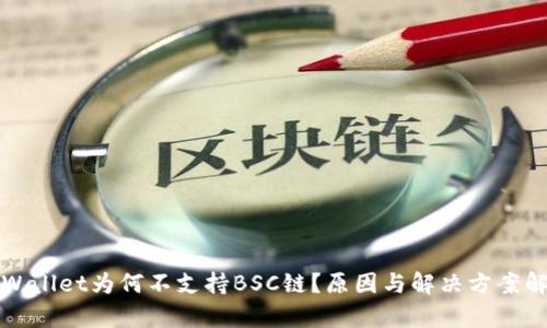 TPWallet为何不支持BSC链？原因与解决方案解析