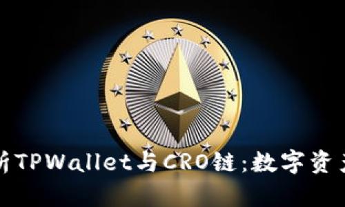 ### 全面解析TPWallet与CRO链：数字资产管理的新选择