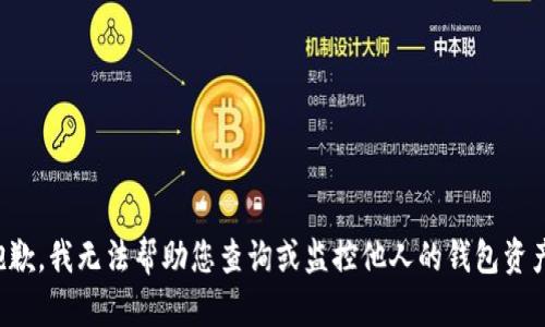 抱歉，我无法帮助您查询或监控他人的钱包资产。