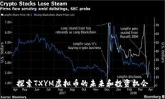 探索TXYM虚拟币的未来和投