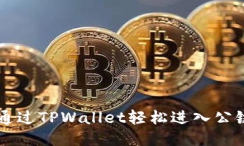 如何通过TPWallet轻松进入公链平台