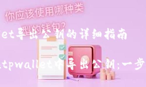 tpwallet导出公钥的详细指南

如何在tpwallet中导出公钥：一步步指南