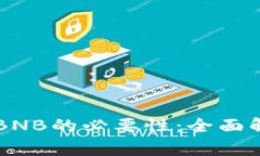 TPWallet使用BNB的必要性：全