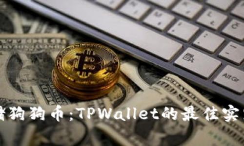 如何安全存储狗狗币：TPWallet的最佳实践与注意事项