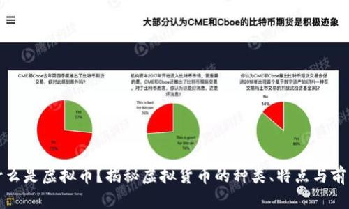 什么是虚拟币？揭秘虚拟货币的种类、特点与前景