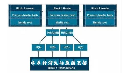 TPWallet中币种消失的原因及解决方案解析