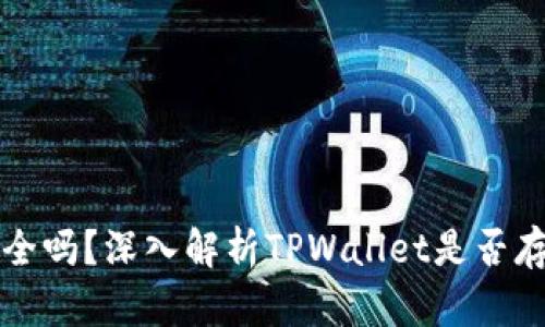 TPWallet安全吗？深入解析TPWallet是否存在病毒风险