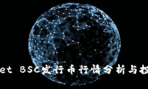 TPWallet BSC发行币行情分析与投资指南