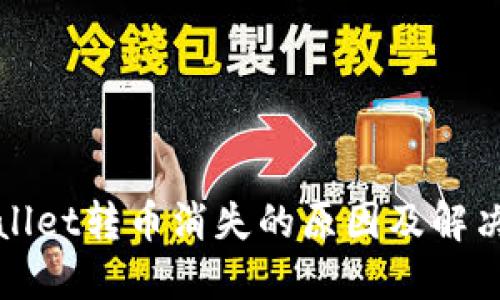 TPWallet转币消失的原因及解决方案