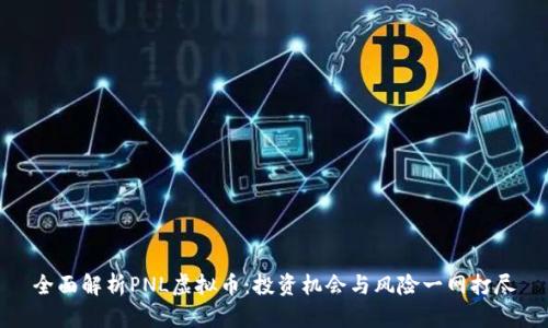 全面解析PNL虚拟币：投资机会与风险一网打尽