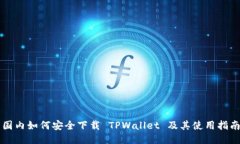 国内如何安全下载 TPWall