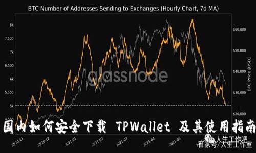 国内如何安全下载 TPWallet 及其使用指南