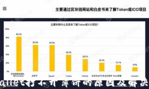 
TPWallet打不开薄饼的原因及解决方法