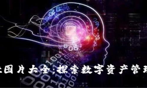  TPWallet图片大全：探索数字资产管理的新选择