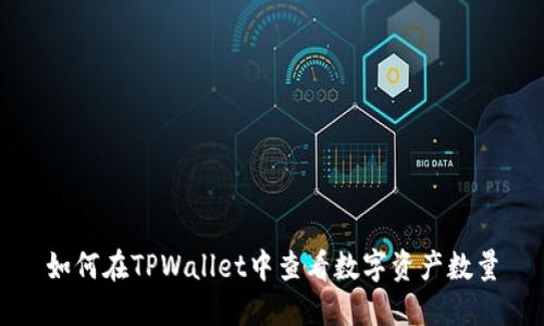 如何在TPWallet中查看数字资产数量