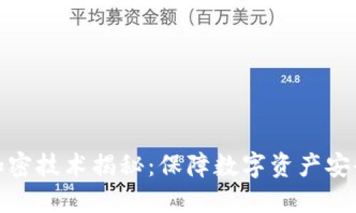 虚拟币加密技术揭秘：保障数字资产安全的关键