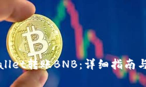 如何使用TPWallet转账BNB：详细指南与常见问题解答