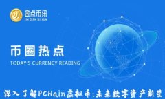 深入了解PCHain虚拟币：未