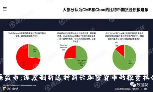 虚拟币海盗币：深度剖析这种新兴加密货币的投资机会与风险