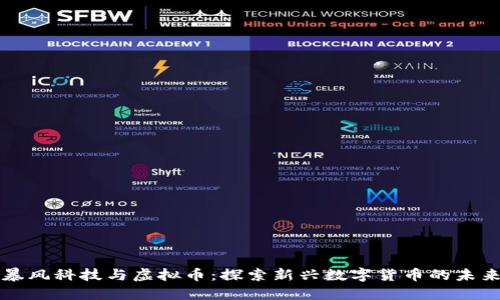 暴风科技与虚拟币：探索新兴数字货币的未来