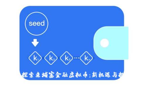 : 探索柬埔寨金融虚拟币：新机遇与挑战