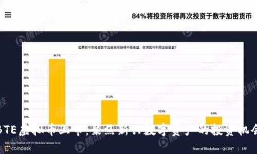 BTE虚拟币上市：聚焦新兴数字资产的投资机会