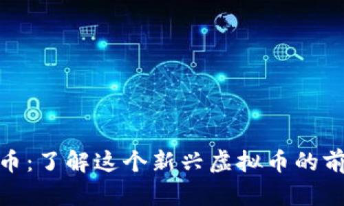 探索世通币：了解这个新兴虚拟币的前景与风险