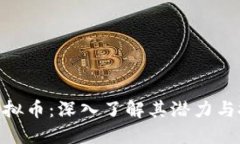 哈克斯虚拟币：深入了解