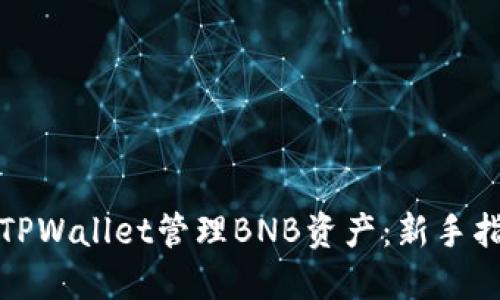 如何使用TPWallet管理BNB资产：新手指南与技巧