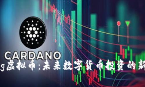 Dagking虚拟币：未来数字货币投资的新兴选择