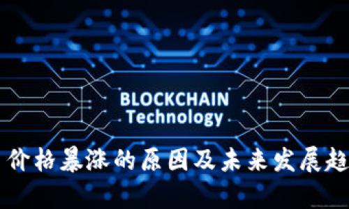 虚拟币价格暴涨的原因及未来发展趋势解析