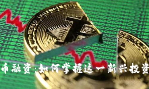 虚拟币融资：如何掌握这一新兴投资机遇