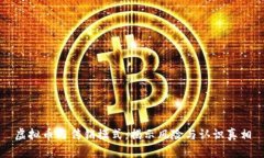 虚拟币与传销模式：揭示