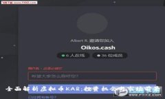 全面解析虚拟币KAR：投资