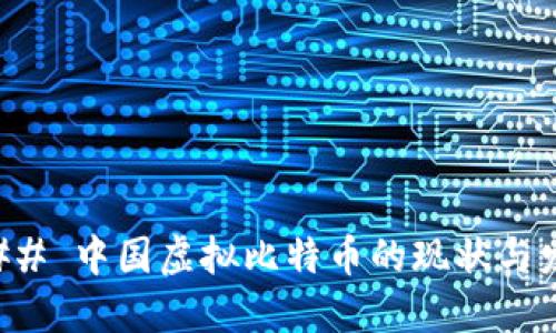 ### 中国虚拟比特币的现状与发展