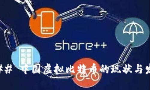 ### 中国虚拟比特币的现状与发展