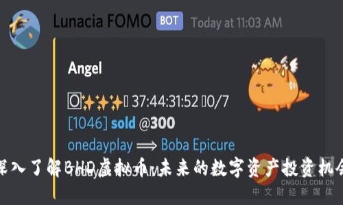 深入了解BHD虚拟币：未来的数字资产投资机会