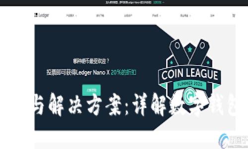 TPWallet限制与解决方案：详解数字钱包的使用界限