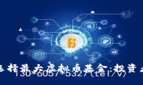 如何选择最大虚拟币基金：投资者指南