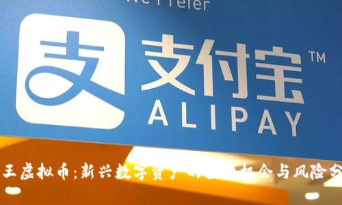 兽王虚拟币：新兴数字资产的投资机会与风险分析