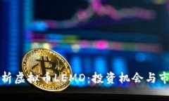 深入解析虚拟币LEMD：投资