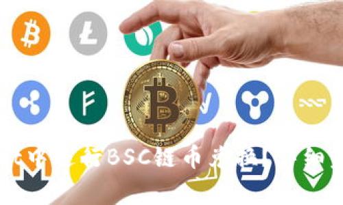 如何在TPWallet中进行BSC链币兑换？详细步骤及注意事项