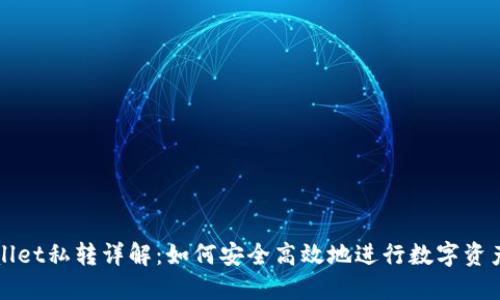 TPWallet私转详解：如何安全高效地进行数字资产转移