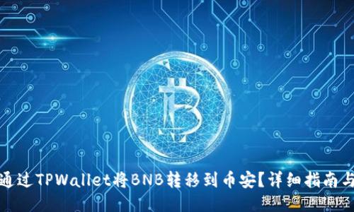 如何通过TPWallet将BNB转移到币安？详细指南与技巧