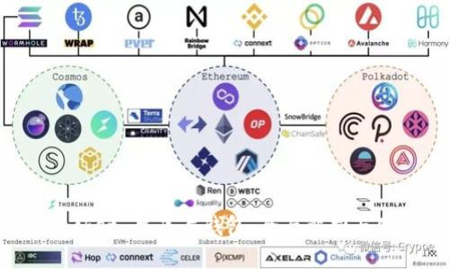 TokenPocket 单底层钱包：全面解析与使用指南
