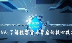 虚拟币DNA：了解数字货币