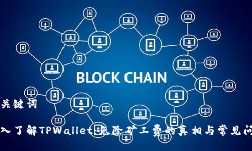 与关键词

深入了解TPWallet：免除矿工费的真相与常见问题