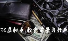 SWFTC虚拟币：投资前景与行